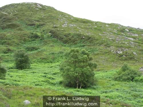 Slieve Daeane, Birds Mounatin